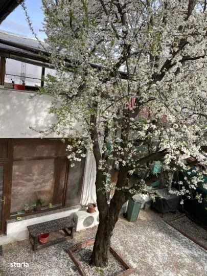 Casa Matei Voievod