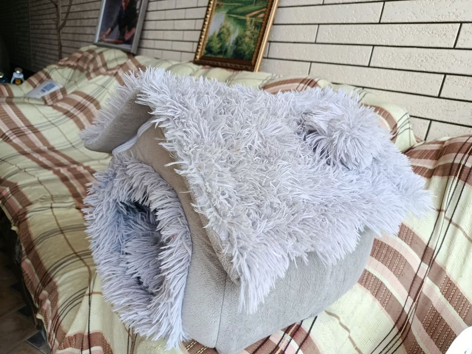Аксессуары для котят