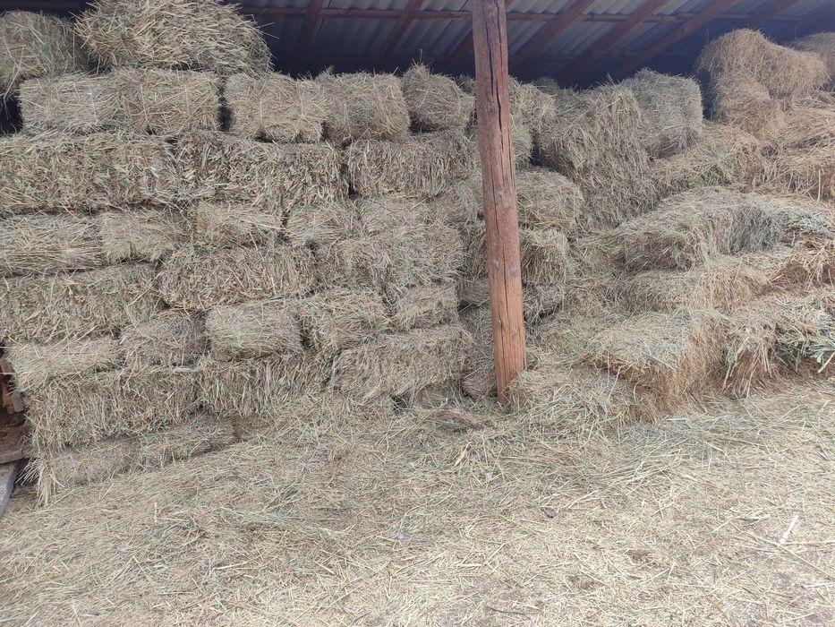 Продам дом  продам дом