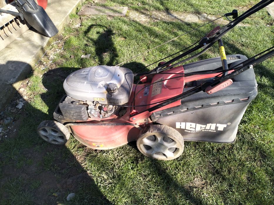 Mașini de tuns gazon