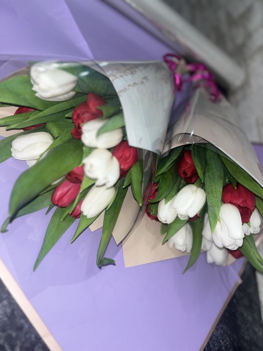 Продам тюльпаны 600