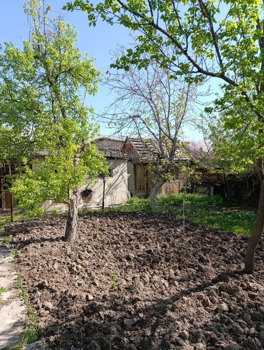 Навоий шахрмда ХОВЛИ.