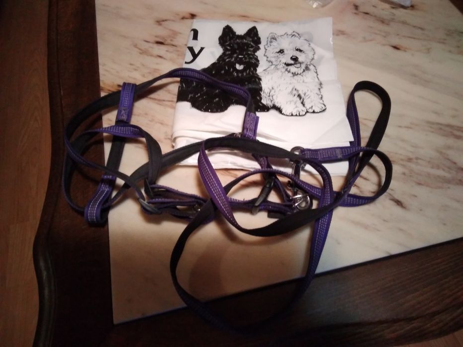 Комплект повод и нагръдник.