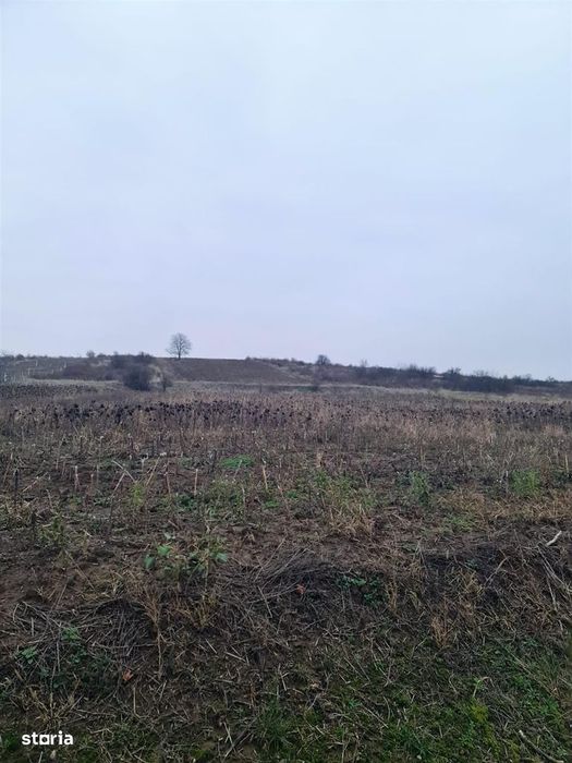 Teren 5096 mp extravilan Oncea/Episcopia Oradea