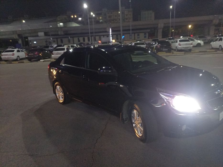 Other Cobalt 2024 — 7