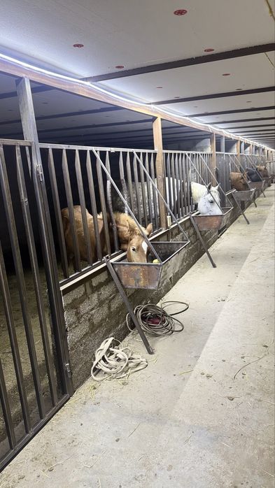 Srochno ot sotiladi!!!