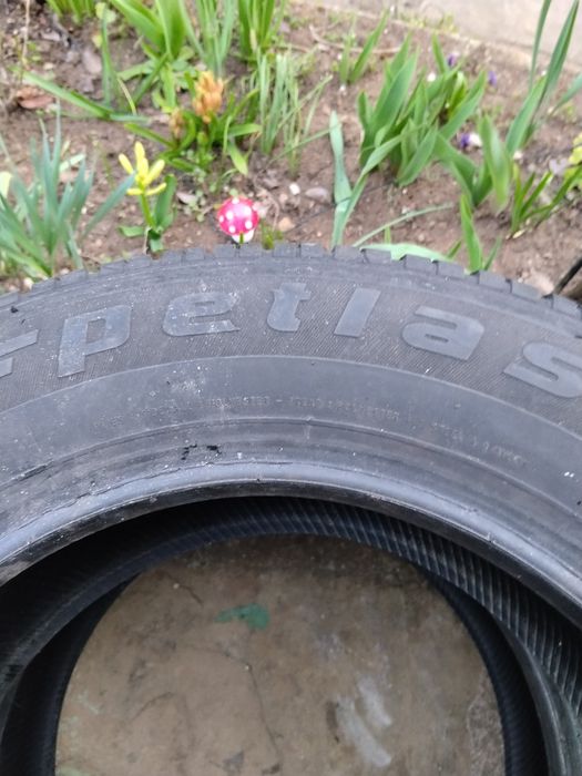Две летни гуми Petlas 185/65/14