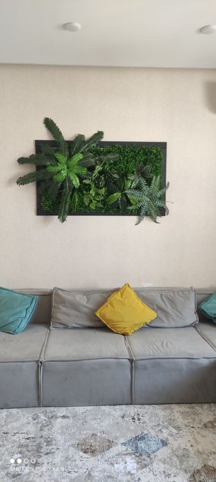 Фито картина. Цена зависит от размера. Размер: изготовим на заказ любо