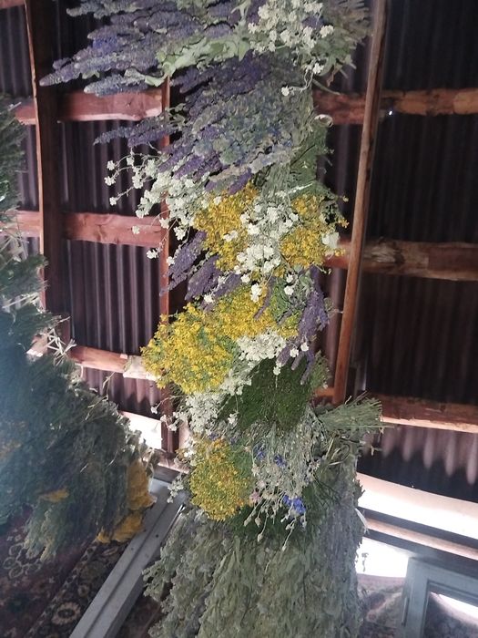 В продаже травы лечебные