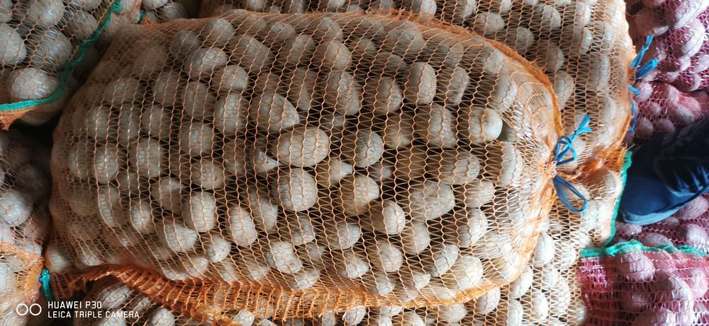 Cartofi samanta Harghita