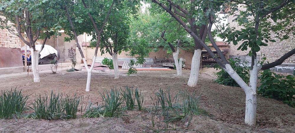 Kirovda  hovli sotiladi srochna