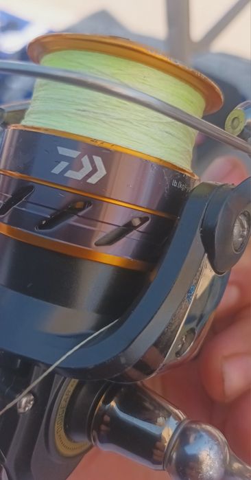 Mulineta Daiwa noua