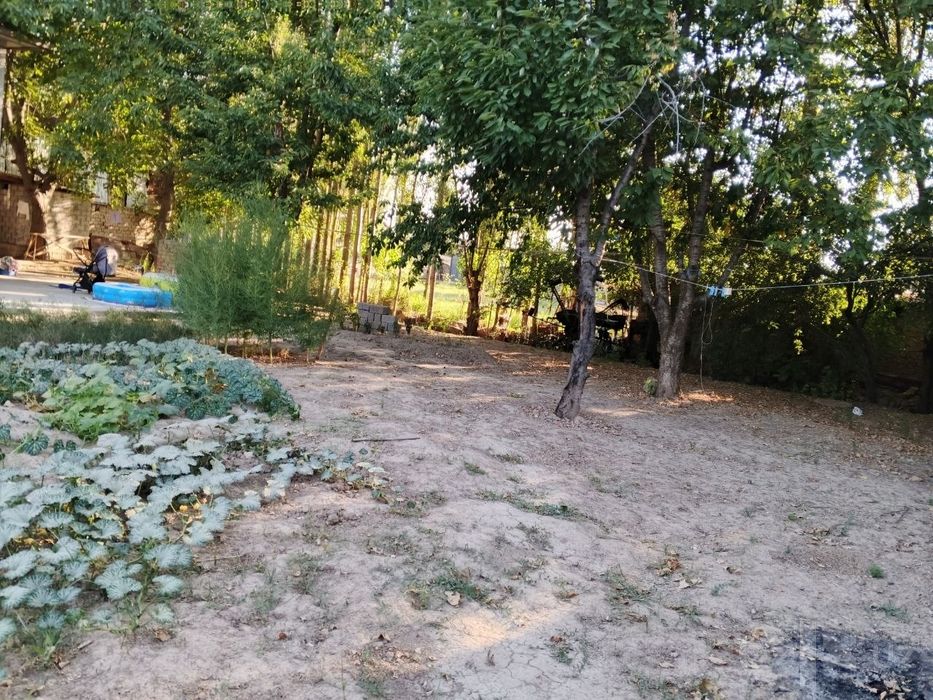 Уртасаройда ховли 8 сотых