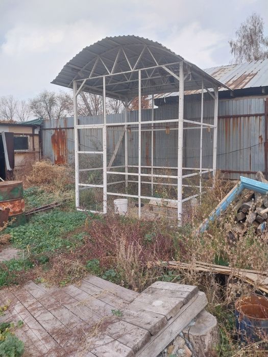 Продается сетка для голубей с голубями