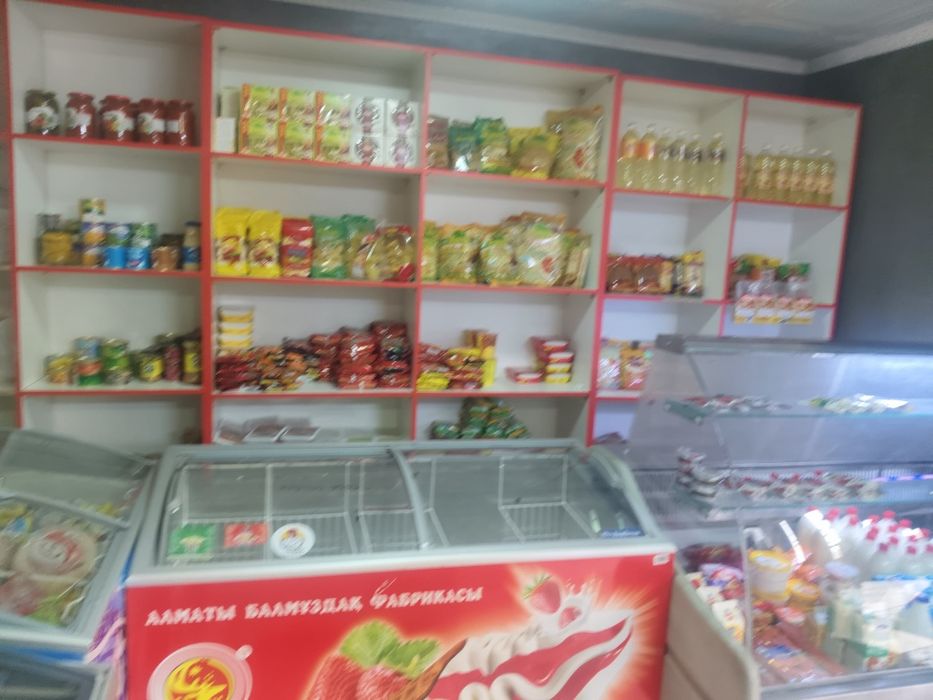 Продаются  продуктовый магазин +гараж +склад+ магазина
