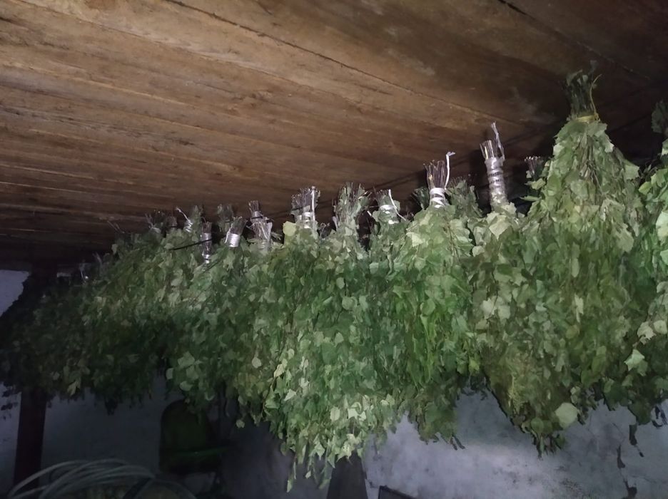 Веники продам банные