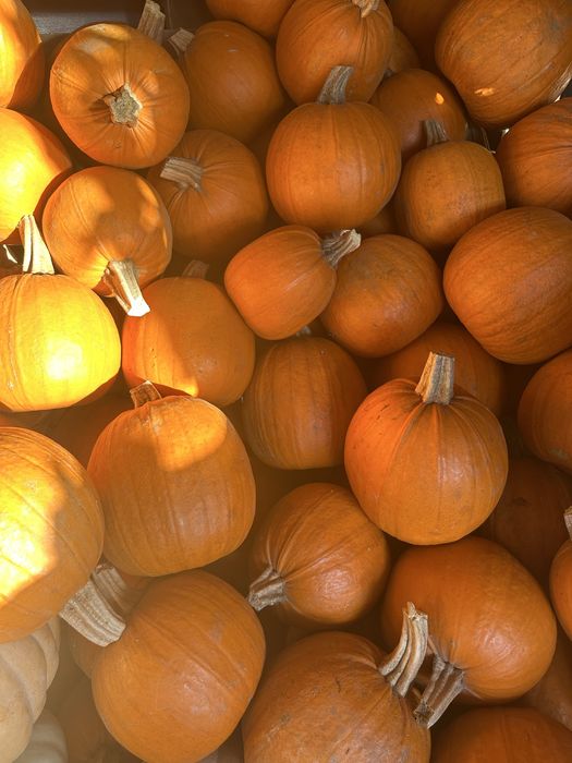 Dovleci de Halloween - Livrare la domiciliu