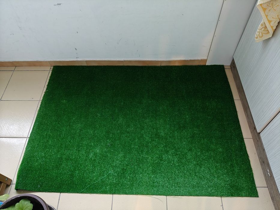 Тренировъчна Тоалетна за Кучета/Кученца PawHut (50x60 см) + ПОДАРЪЦИ!