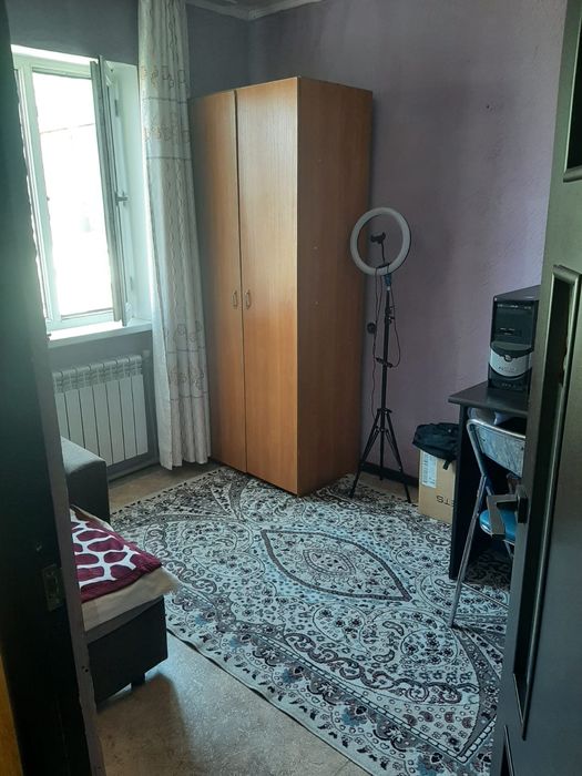 дом из каркаса камыш