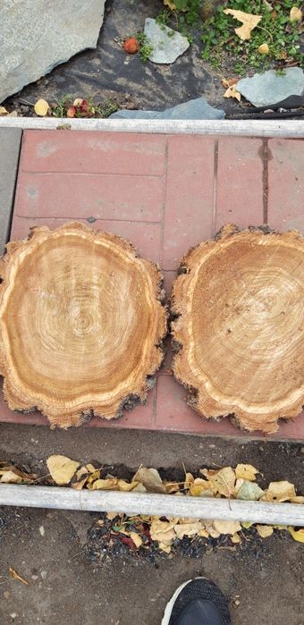 Декор спил дерево