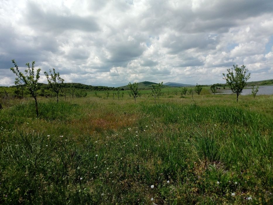 Продава се Земеделски имот в с. Сусам, Област Хасково -  кв.м за 702 €/дка - Снимка #5