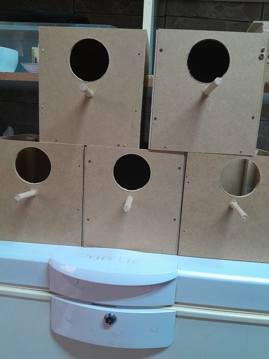 Vând cuiburi perusi