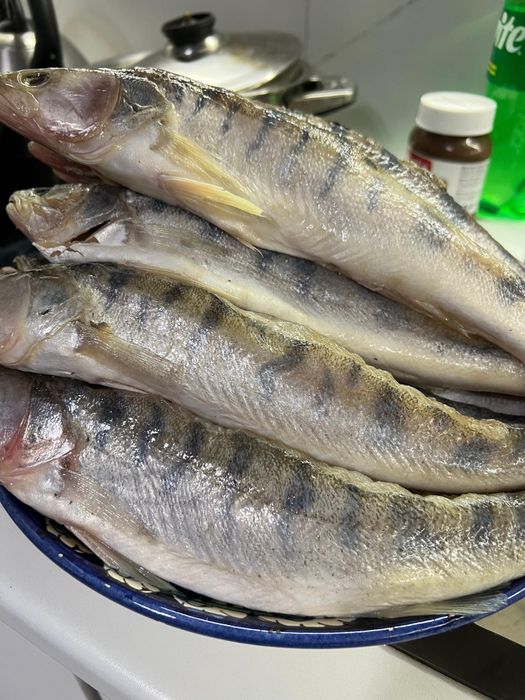 Атырауская рыба, жерех, рыбец, вобла, чехонь