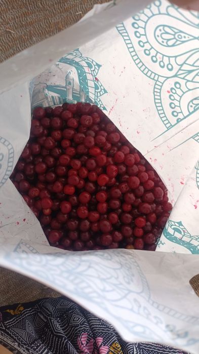 Продам вишню 800тг