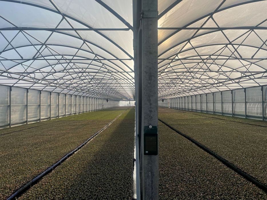 Folie solar Plastika Kritis Kritifil ®️ 2996 Crystal Clear