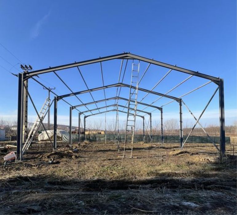 Vand hale saivane industriale structurii metalice