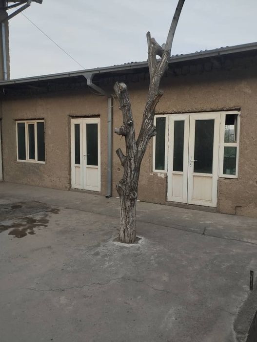 Дом за горбольницей