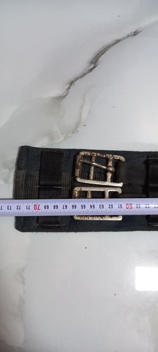 Chinga sa calarie pentru ponei