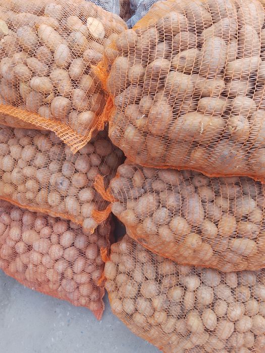 Cartofi pentru animale