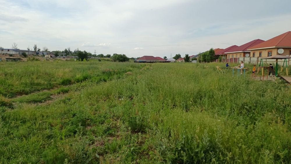 Долан 5 сот лпх у дороги