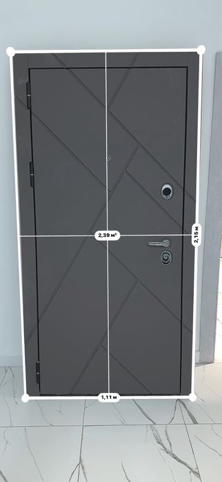 Дверь входная Berserker