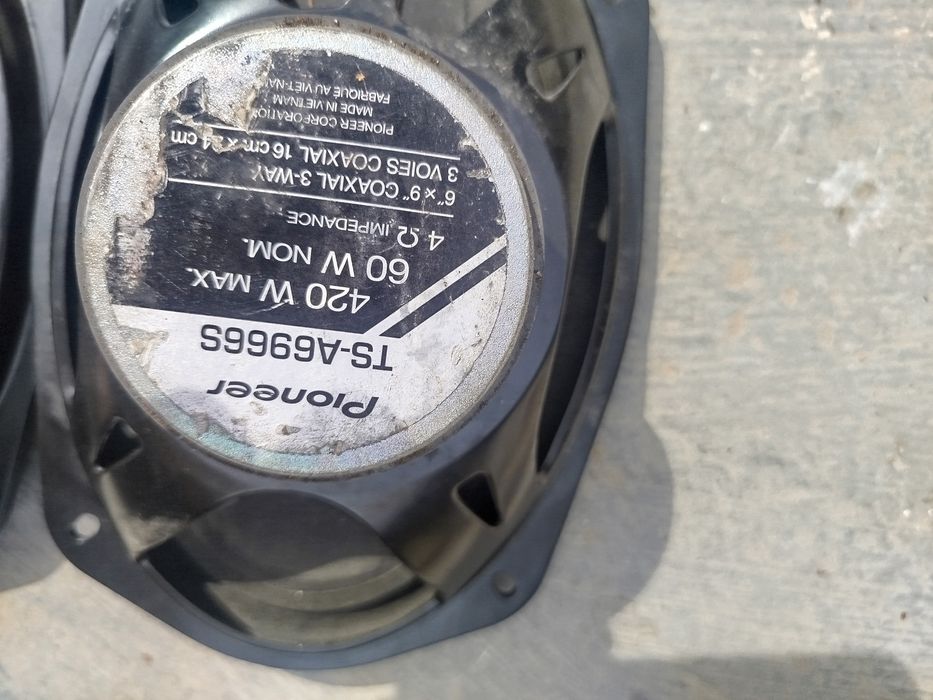 Pioneer arginal kalonka