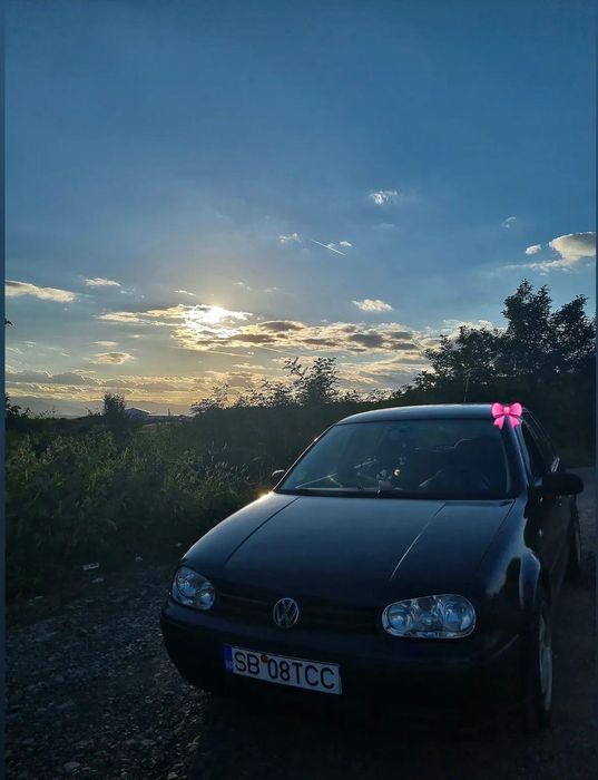 Schimb golf 4 cu porc de 250 de kg