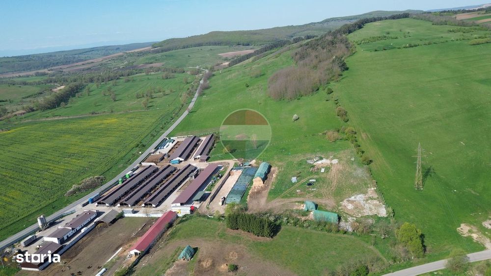 Teren de vanzare sau inchiriat 19ha intravilan, Agnita,Sibiu