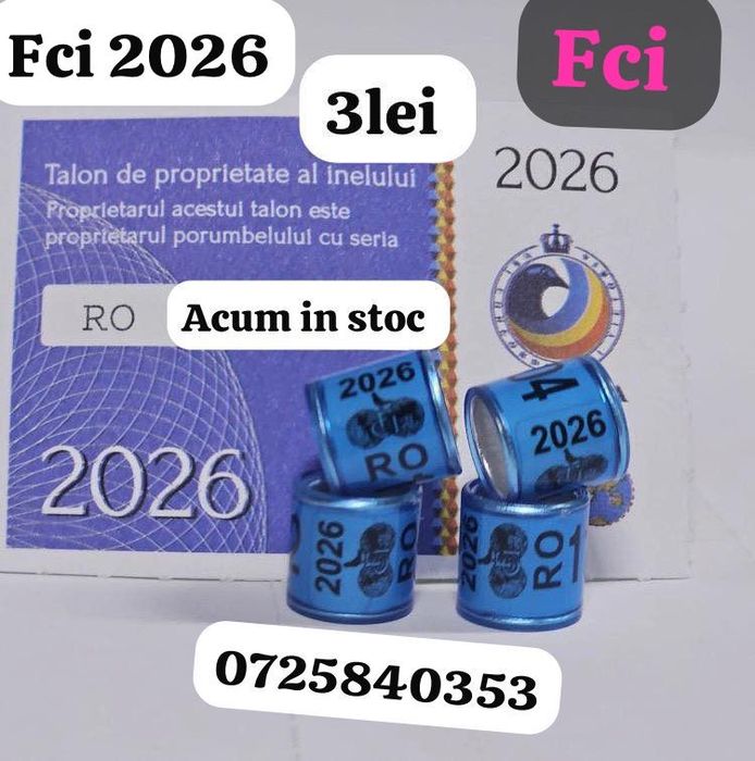 Ceas benzing G2 si senzori