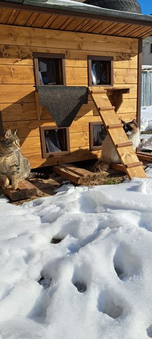 Домик с утеплением для кошек
