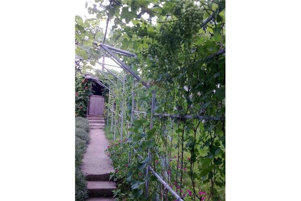 Продава се Къща в с. Червена вода, Област Русе - 360 кв.м за 864 €/кв.м - Снимка #10