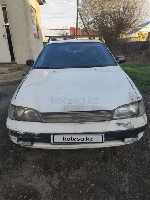 Карина Е на ходу