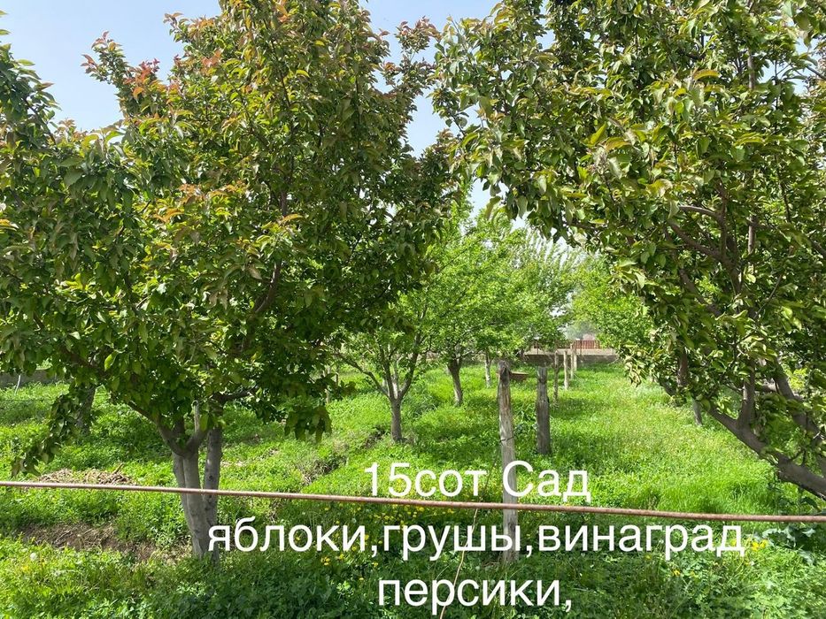 Срочна сатылады  егіс жерімен