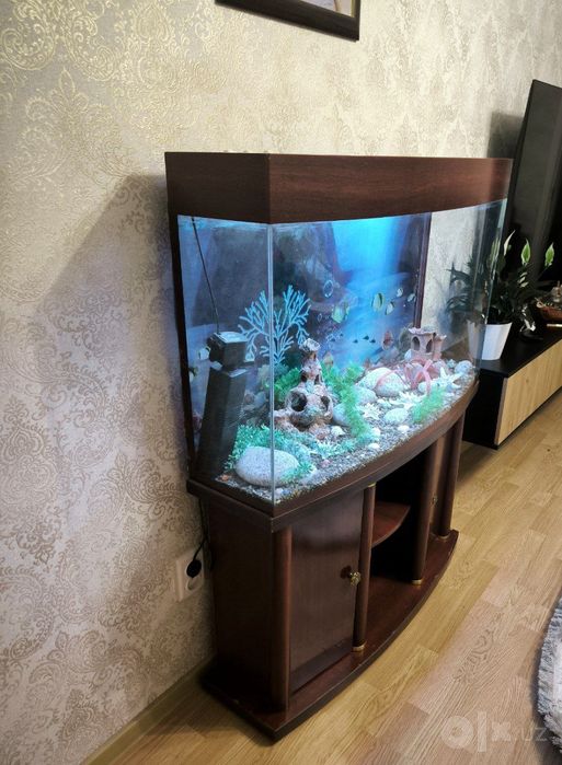 Продаётся аквариум с тумбой и со всеми причиндалами,