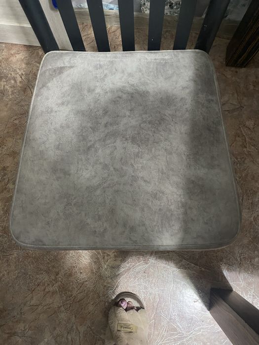 Продам четыре стула