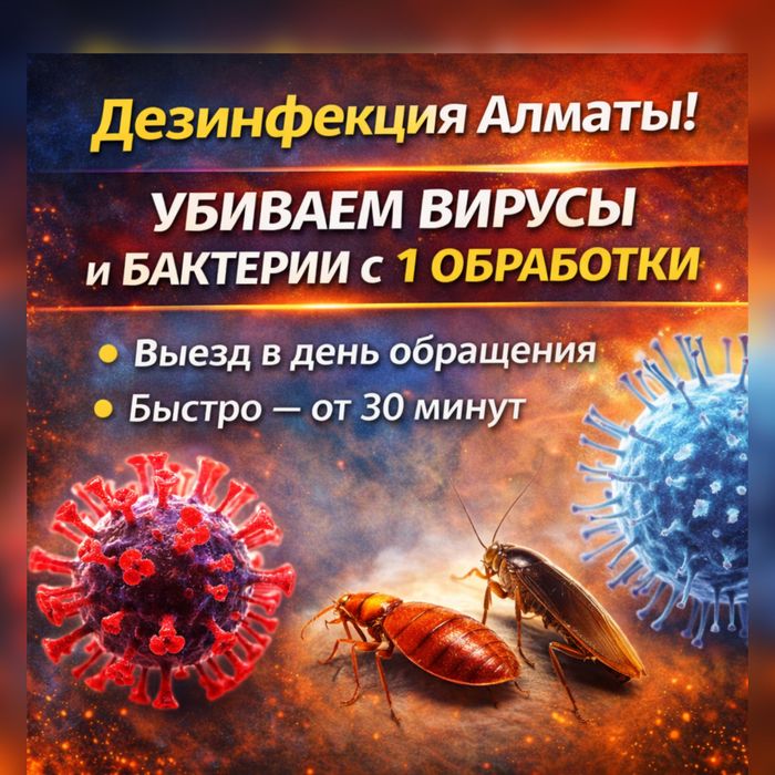 Скидка 4000тг Дезинфекция Дизенфекция Дизинфекция от Таракан Клопы