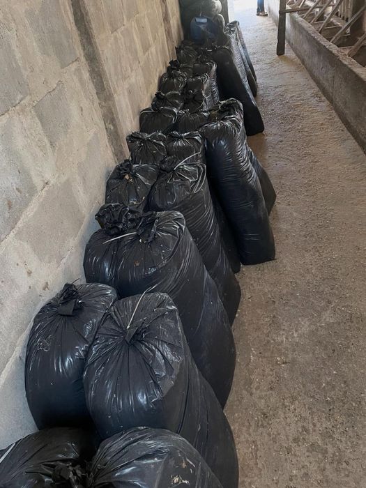 Вывоз мусора, Быстро приедем Всё вынесем Всё уберём