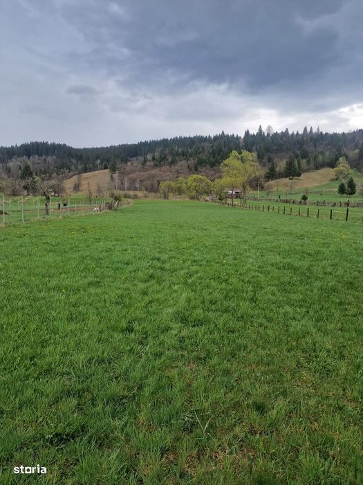 Vindem teren in Vatra Moldovitei - Bucovina