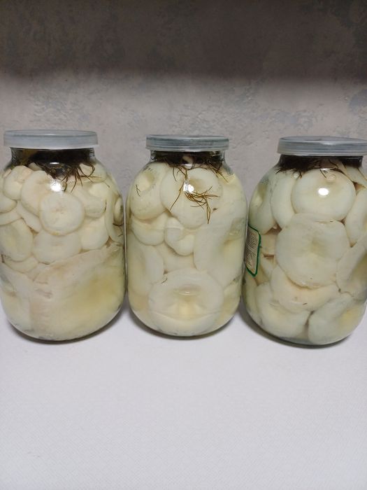 Грузди 2 литра 10 тыс