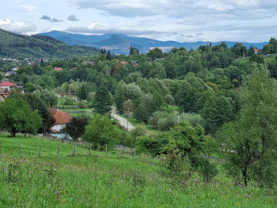 Vand teren intravilan Bughea de Sus 8600mp